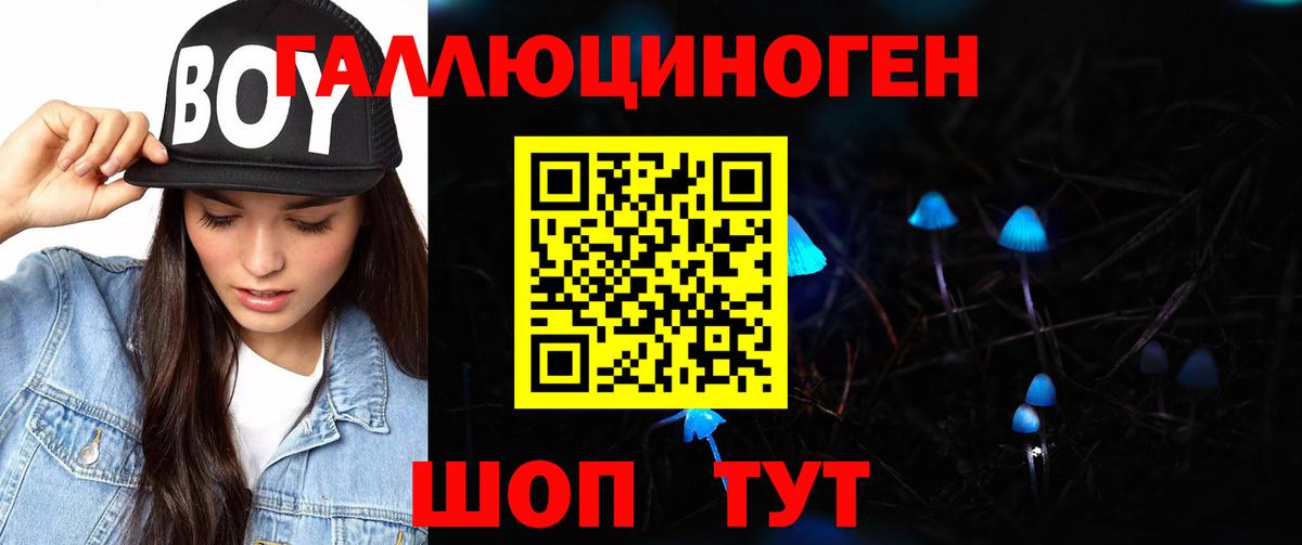 Ярославль  Галлюциногенные грибы Psilocybe  закладка  Вход с VPN 