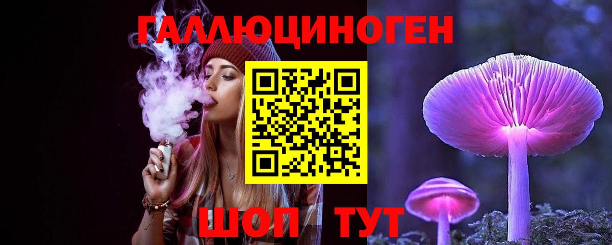Галлюциногенные грибы Psilocybine cubensis Ярославль